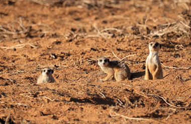Central Namibia